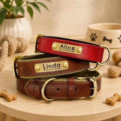Custom Dog Collar Personalized Name Phone Pet Neckband