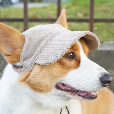 Corduroy Dog Baseball Cap Adjustable Pet Sun Hat